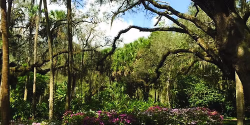 Parking Garden State Live