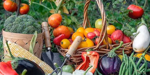 Linjalan puutarhailta