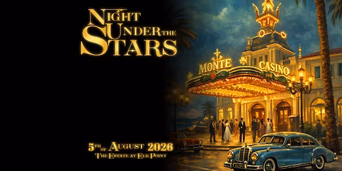 \ud83c\udf1fNight Under the Stars\ud83c\udf1f benefiting Safe Start