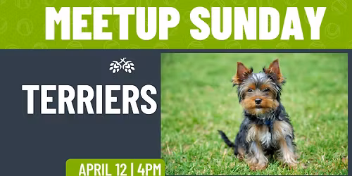 Terrier Meetup