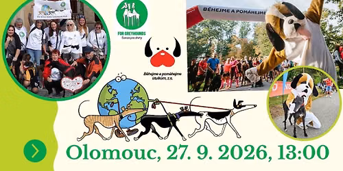 The Great Global Greyhound Walk 2026 - Olomouc
