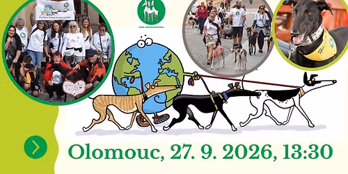 The Great Global Greyhound Walk 2026 - Olomouc