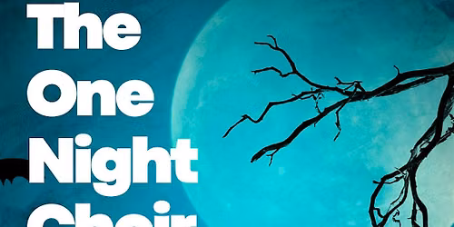 The One Night Choir - Halloween Special