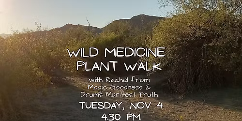 Wild Medicine Plant Walk