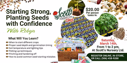 Starting Strong, Planting Seeds with Confidence