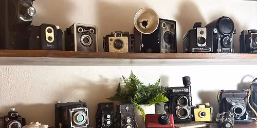 Lots more on Linden Street