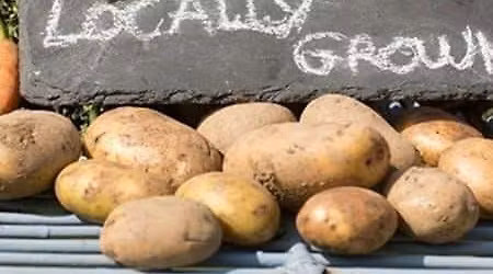 Kingaroy Friendship Markets