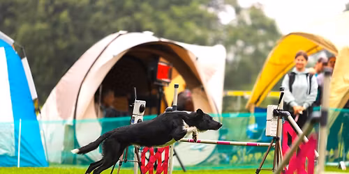 O poh\u00e1r Naury XII