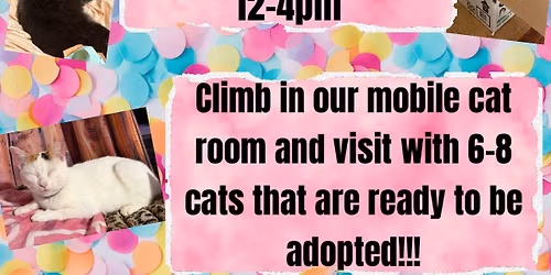 Pop-Up Cat Room in Jonesboro