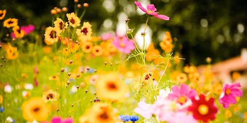 Mothering Sunday Service