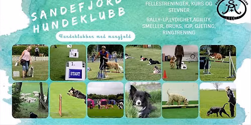 Plaketten 