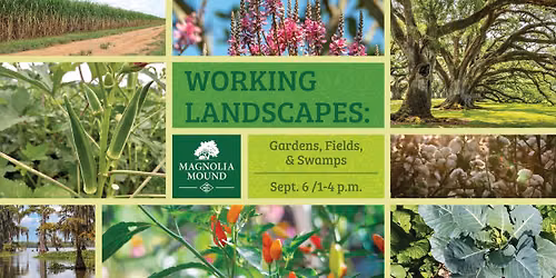 Working Landscapes: Gardens, Fields, and Swamps