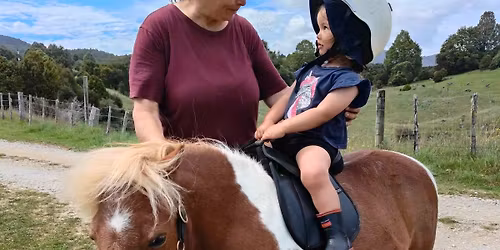 Pony Rides for Toddlers