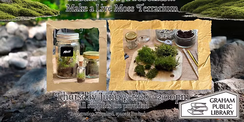 Adult DIY - Live Moss Terrarium