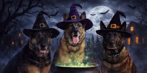 Witch better have my treats! NADD Event