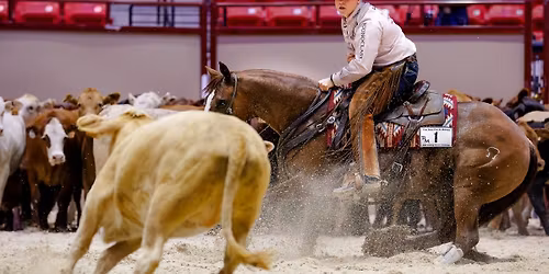 The Run for a Million Cutting Horse Challenge