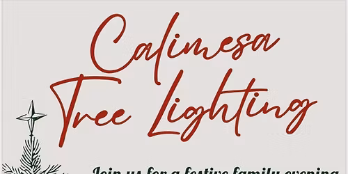 Christmas tree lighting