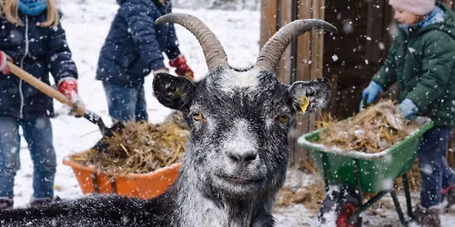 Ein Tag Tierpfleger MIDI