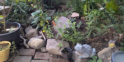 Habitat Hosted Native Plant Sale