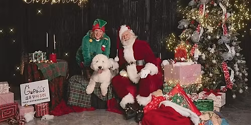 \u6e29\u54e5\u534e\u72d7\u5b50\u7fa42026\u5723\u8bde\u6148\u5584Pawty