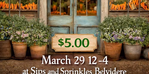 EASTER BUNNY SIPS AND SPRINKLES