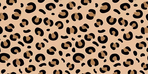 Wild Card Barrel Series: Race #3