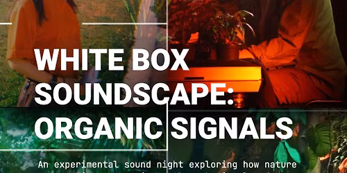 WHITE BOX SOUNDSCAPE: ORGANIC SIGNALS