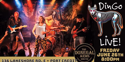 Dingo Rocks Donegal's Irish Pub in Port Credit!