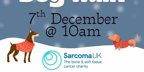 \ud83c\udf84Christmas dog walk\ud83c\udf84