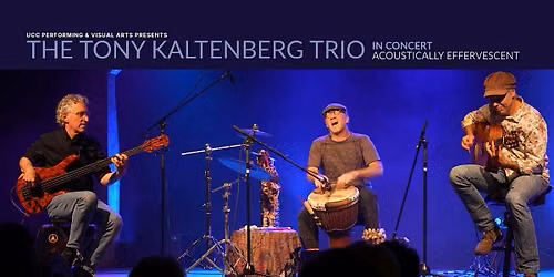The Tony Kaltenberg Trio in concert