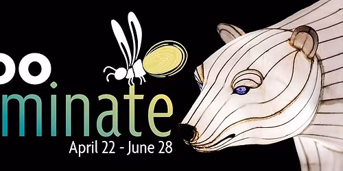 Zoo Luminate 2026: Sea To Believe!