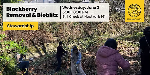 Blackberry Removal & Bioblitz at Nootka & 14th
