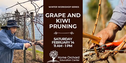 Grape and Kiwi Pruning