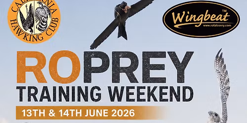 RoPrey Training Weekend
