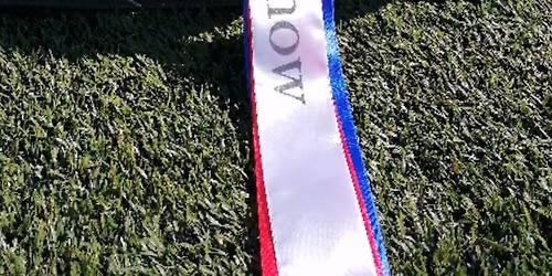 Spanielspesial FAUSKE 31\/7-2026