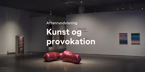 Aftenrundvisning \u00b7 Kunst og provokation