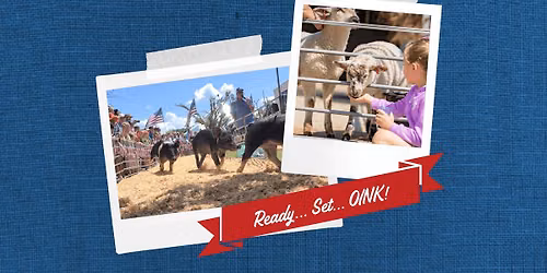 All American Petting Zoo, Pig Races & Pony Rides