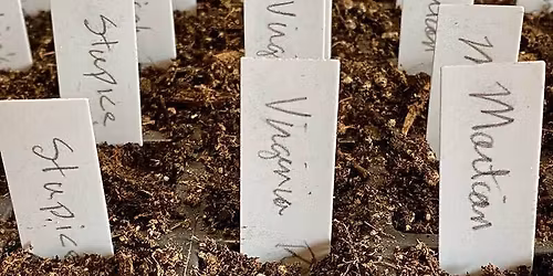 National Seed Swap Day