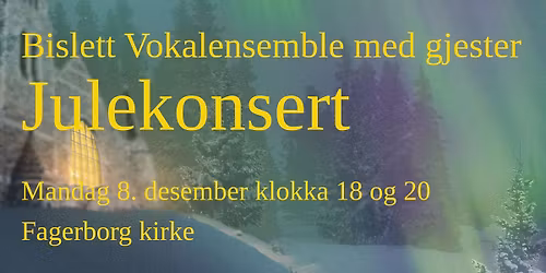Bislett Vokalensembles julekonsert