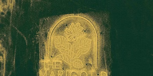 Marigolds at The Marigold