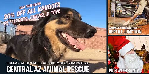 Christmas Carnival at KAHOOTS San Tan Valley