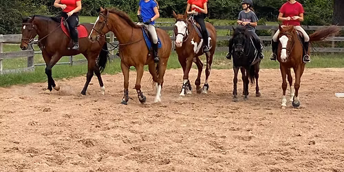 KMR Equestrian Summer Camp