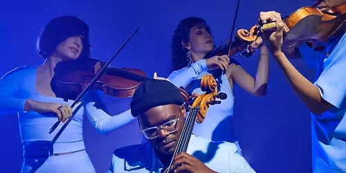 Palaver Strings' Chamber Series: Testimonials