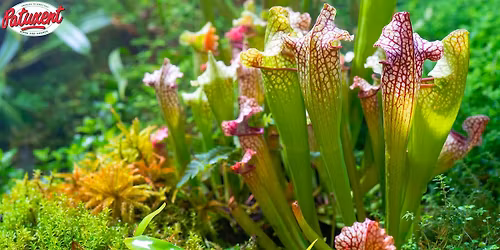 Dive Into The World Of Aquatic Plants Seminar