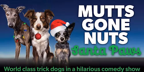 Mutts Gone Nuts: Santa Paws