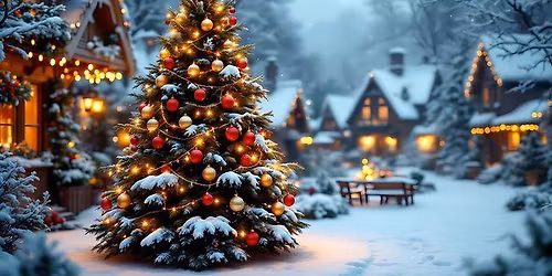 Dyserth Community Choir perform at Trelawnyd Christmas Fayre