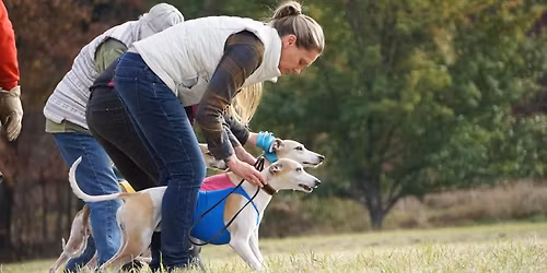 GONE ASFA trials - Waterford, CT