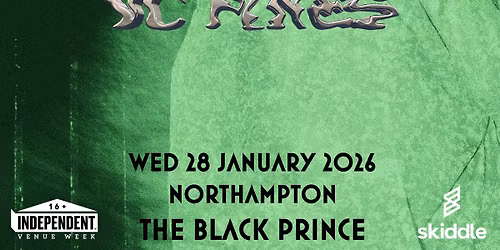 VC Pines + Woegetter + The Vandervalls | The Black Prince, Northampton | Independent Venue Week