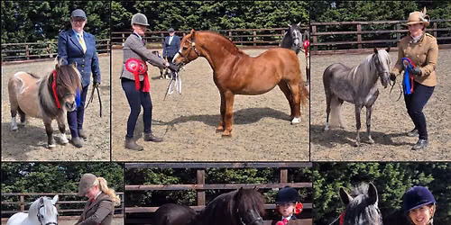 \ud83c\udf83 HALLOWEEN SPOOK'TACULAR \ud83c\udf83 INHAND & RIDDEN SHOW \ud83d\udc7bSUNDAY 25th OCTOBER\ud83d\udc7b
