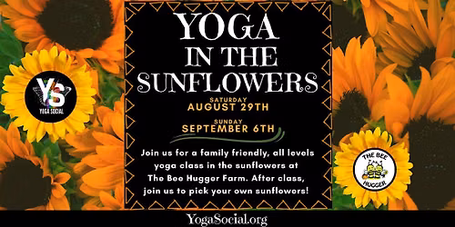 Sunrise Yoga in the Sunflower Fields \u2013 Bee Hugger Farm with Yoga Social